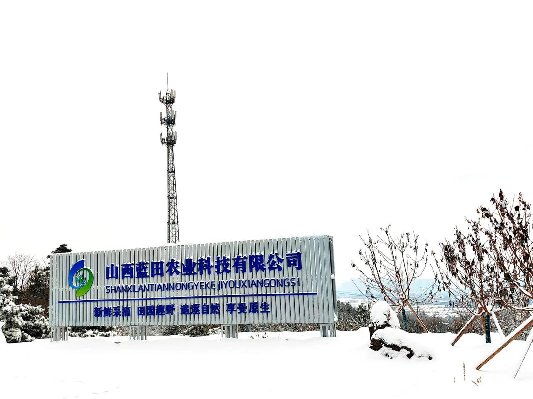 中国蓝田是央企还是国企