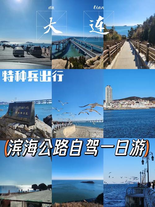 大连:游滨海路,可以自驾车吗
