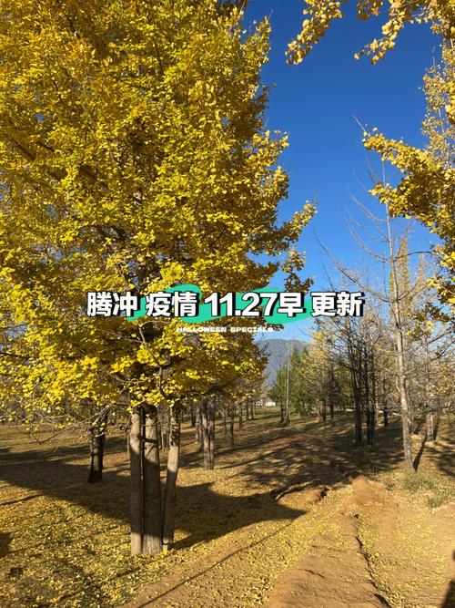 腾冲为什么封城