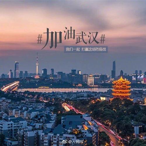 武汉疫情发生在哪里